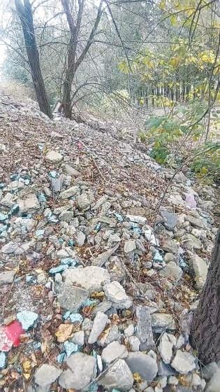 大柳树沟朝丰闸旁林地竟成垃圾场，消防隐患突出  第2张
