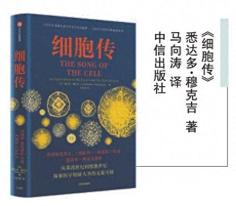 细胞世纪：颠覆认知，开启医学和人类的无限可能  第1张