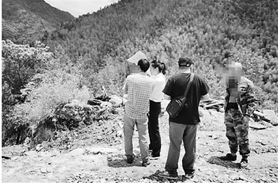 庆元法院创新审判方式，守护绿水青山，打造人与自然和谐共生的现代化  第2张