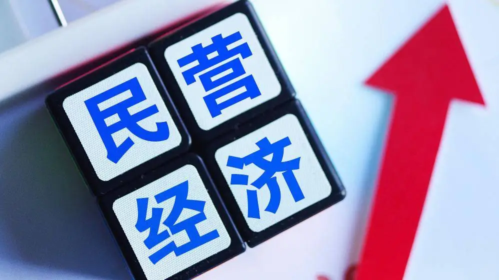 民营经济促进法草案公布！这部重要法律将如何为民营经济保驾护航？  第1张