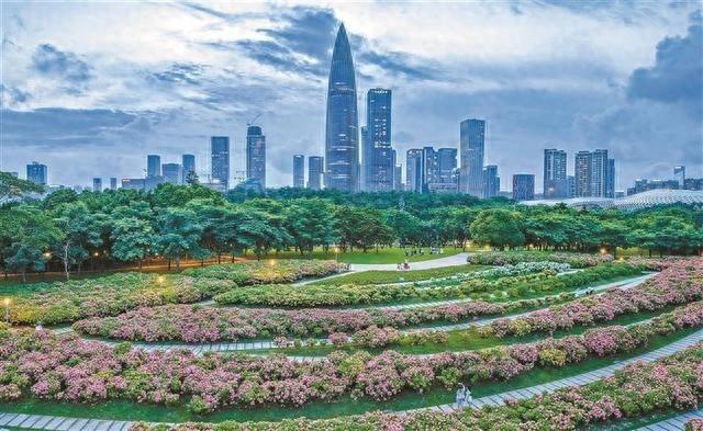 深圳公园数量将超 1500 个，未来还会有哪些惊喜？  第1张