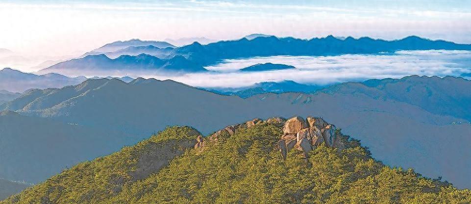 戴云山生态科考：探秘仙境，解锁自然奥秘  第1张