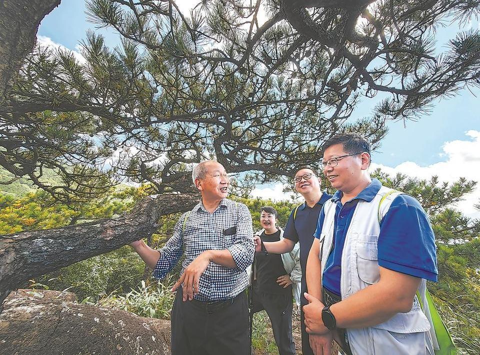 戴云山生态科考：探秘仙境，解锁自然奥秘  第3张