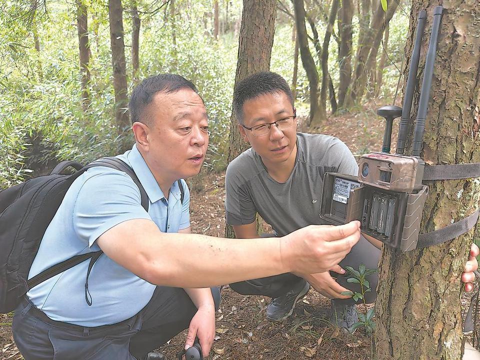 戴云山生态科考：探秘仙境，解锁自然奥秘  第4张