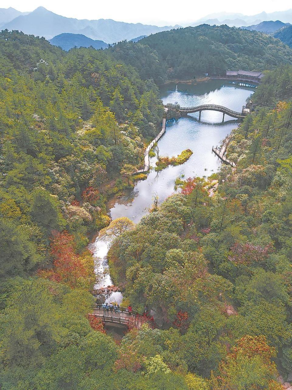 戴云山生态科考：探秘仙境，解锁自然奥秘  第7张