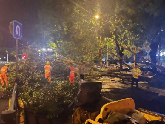 台风潭美肆虐三亚！住建局迅速行动，全力抢险排涝  第1张