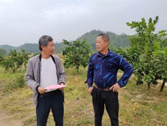 赣南脐橙丰收季，新田镇多举措确保道路交通安全