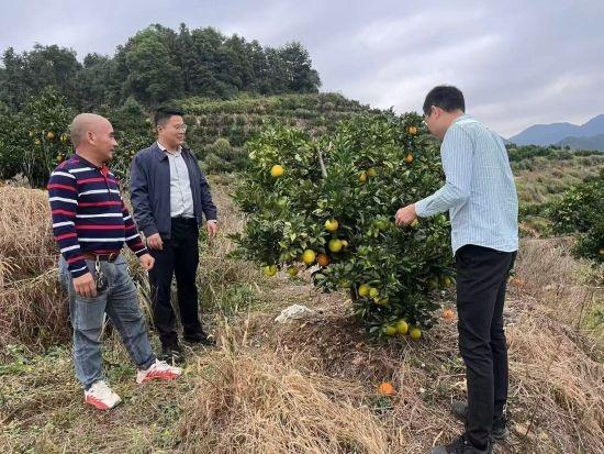 赣南脐橙丰收季，新田镇多举措确保道路交通安全  第2张