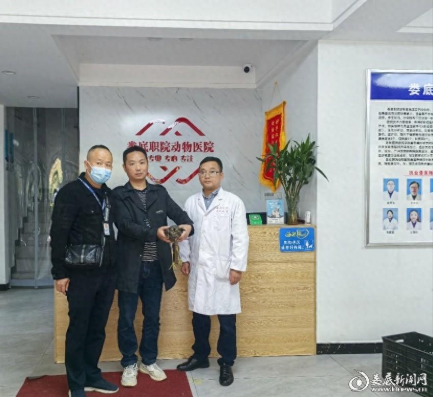 全球极危物种海南鳽惊现娄底，究竟为何不惧生人？