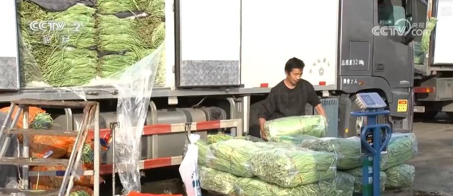 10 月菜价小幅回落，你感受到了吗？  第3张
