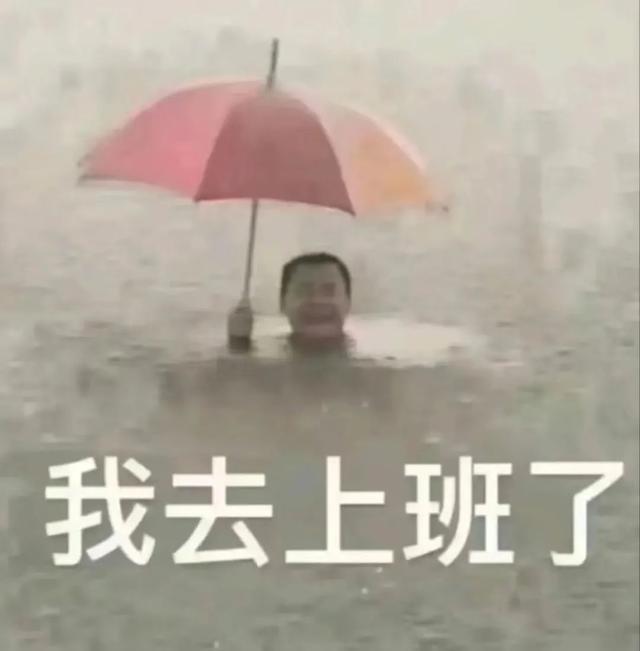 台风康妮来袭！上海宝山区暴雨黄色预警，这些安全事项你必须知道  第3张