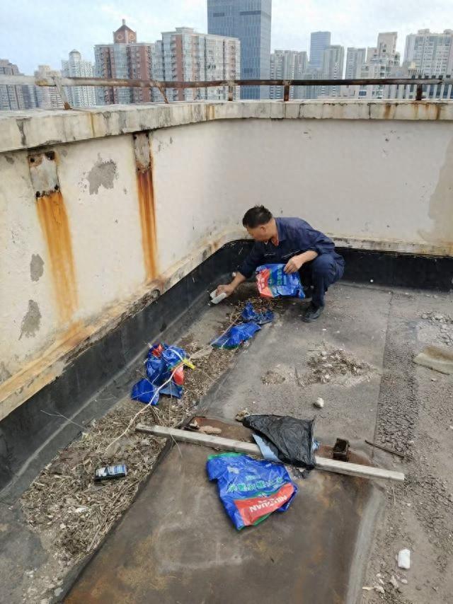台风康妮来袭，曹家渡街道如何确保人民生命财产安全？  第1张