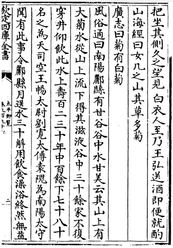 内乡毛华菊竟在开封菊王争霸赛中一举夺魁  第5张