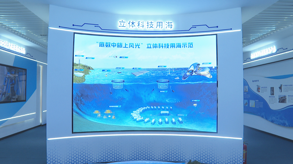 陵水：大道至简，实干为先，打造创新创业活力城市  第4张