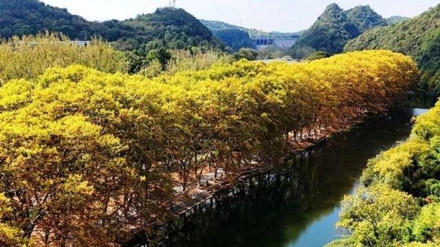 深秋的贵州，打翻了调色板，你不来看看吗？  第2张