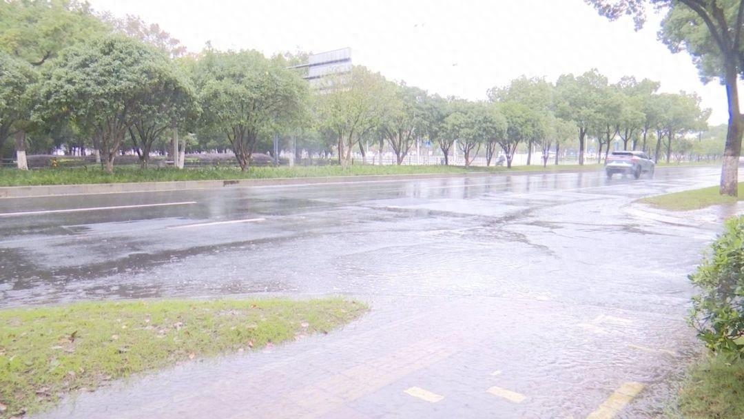 台风康妮来袭！湖州建设局如何筑牢安全防线，确保人民生命财产安全？