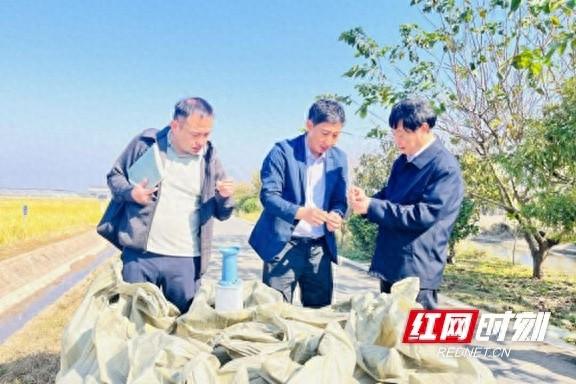 再生稻全年亩产 1265.28 公斤！院士专家共同见证奇迹