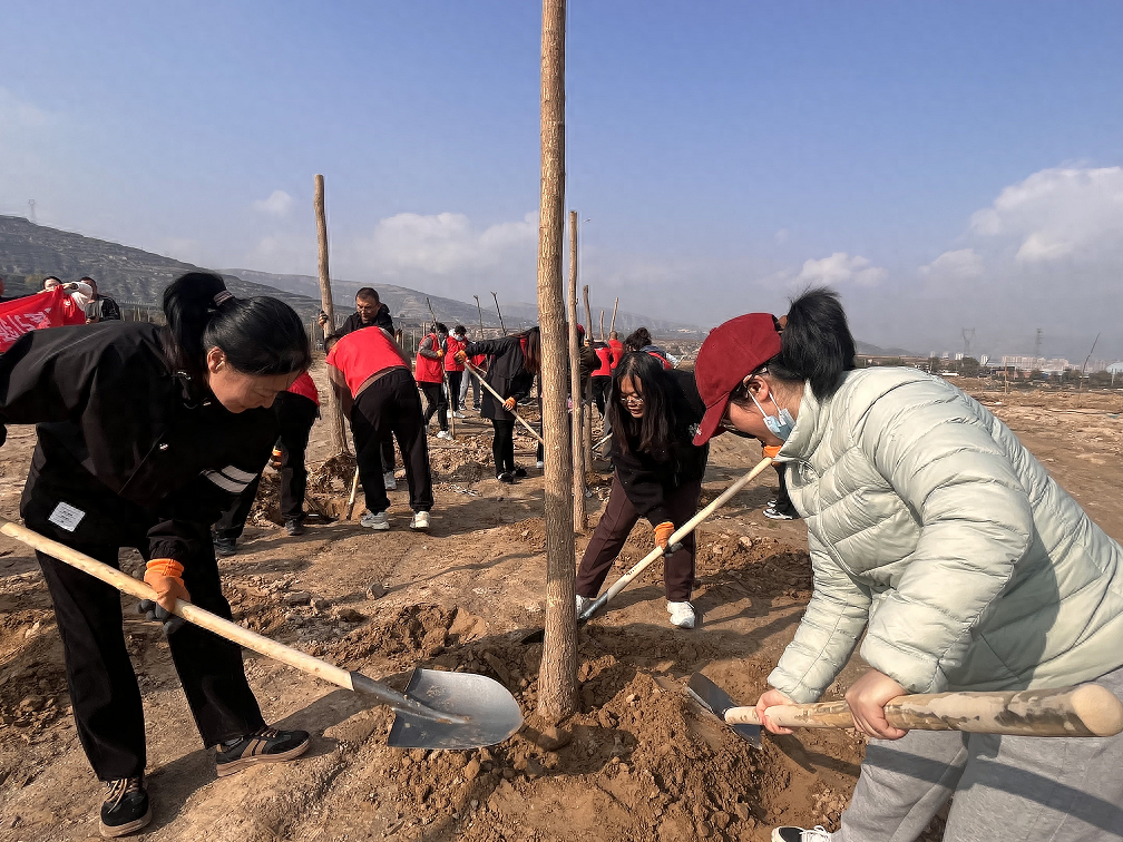 西固区陈坪街道 40 余人秋季植树，掀起绿美乡村建设新高潮  第1张