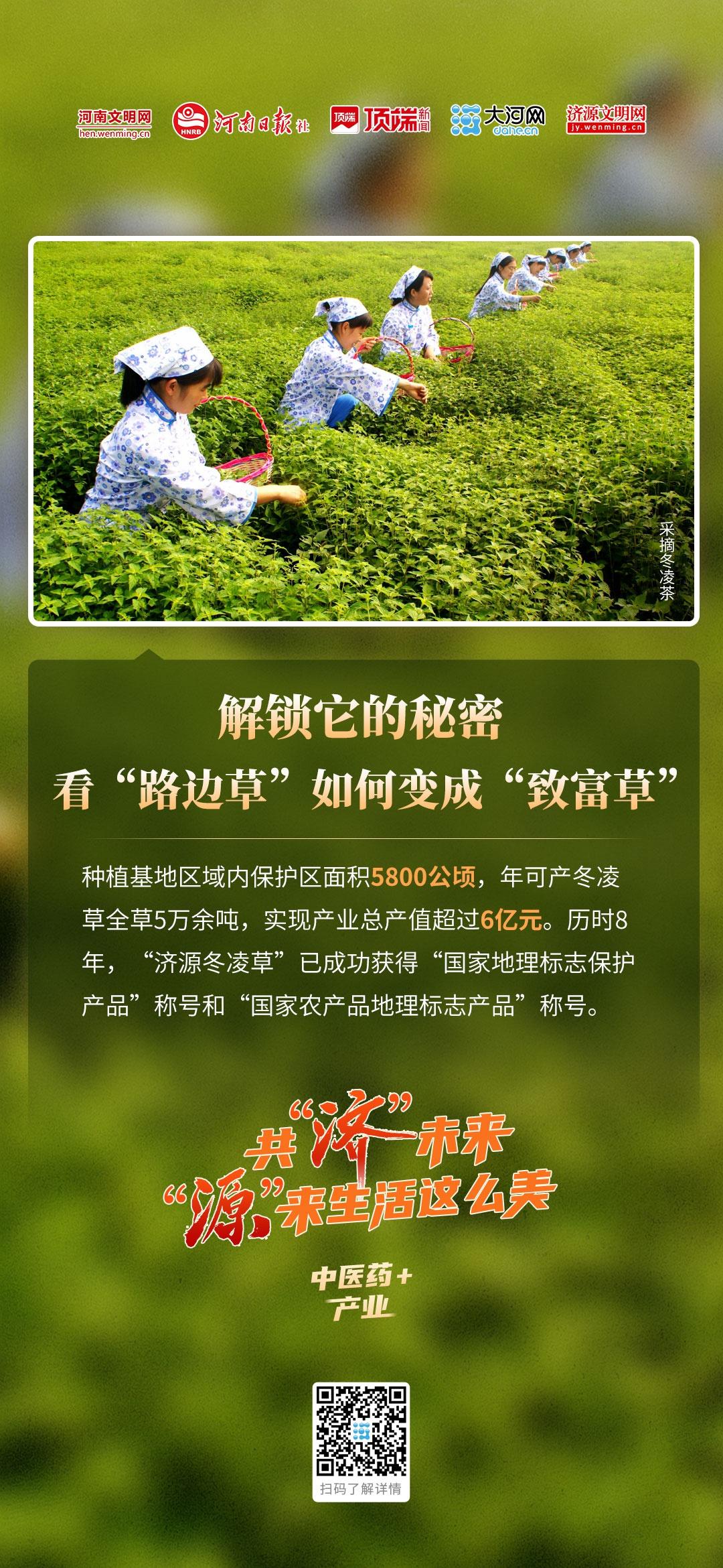 解锁济源产业转型升级的秘密，感受敢为人先的城市魅力  第2张