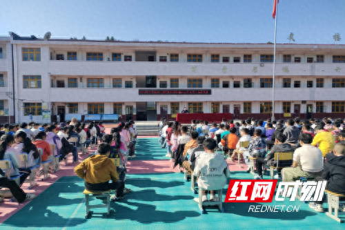 龙潭镇举办禁毒与未成年人保护校园讲座，为青少年健康成长护航  第1张