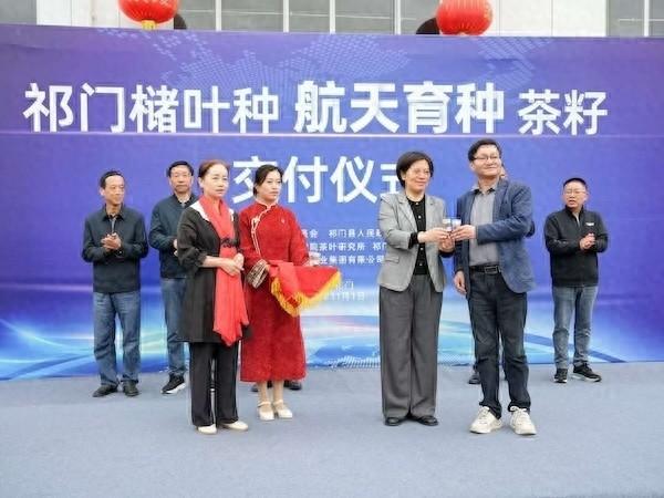 太空遨游 14 天的 1000 克祁门槠叶种茶籽，如今去哪了？  第1张
