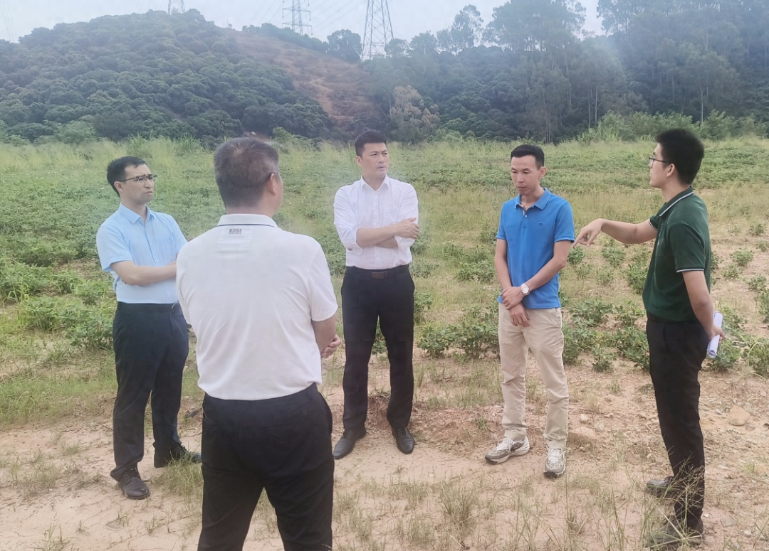 大朗镇一填埋场曾被举报，如今已关停并复耕复绿