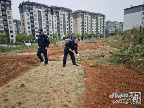 60 余人出动！九江浔阳区城管局整治圈地种菜，还你整洁环境  第1张