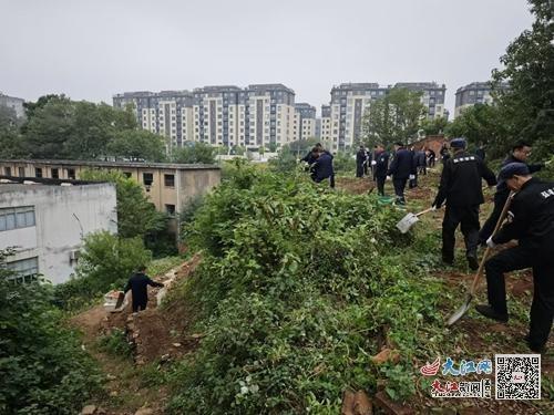 60 余人出动！九江浔阳区城管局整治圈地种菜，还你整洁环境  第3张