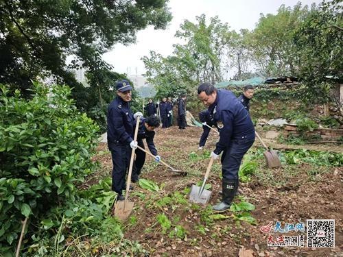 60 余人出动！九江浔阳区城管局整治圈地种菜，还你整洁环境  第6张