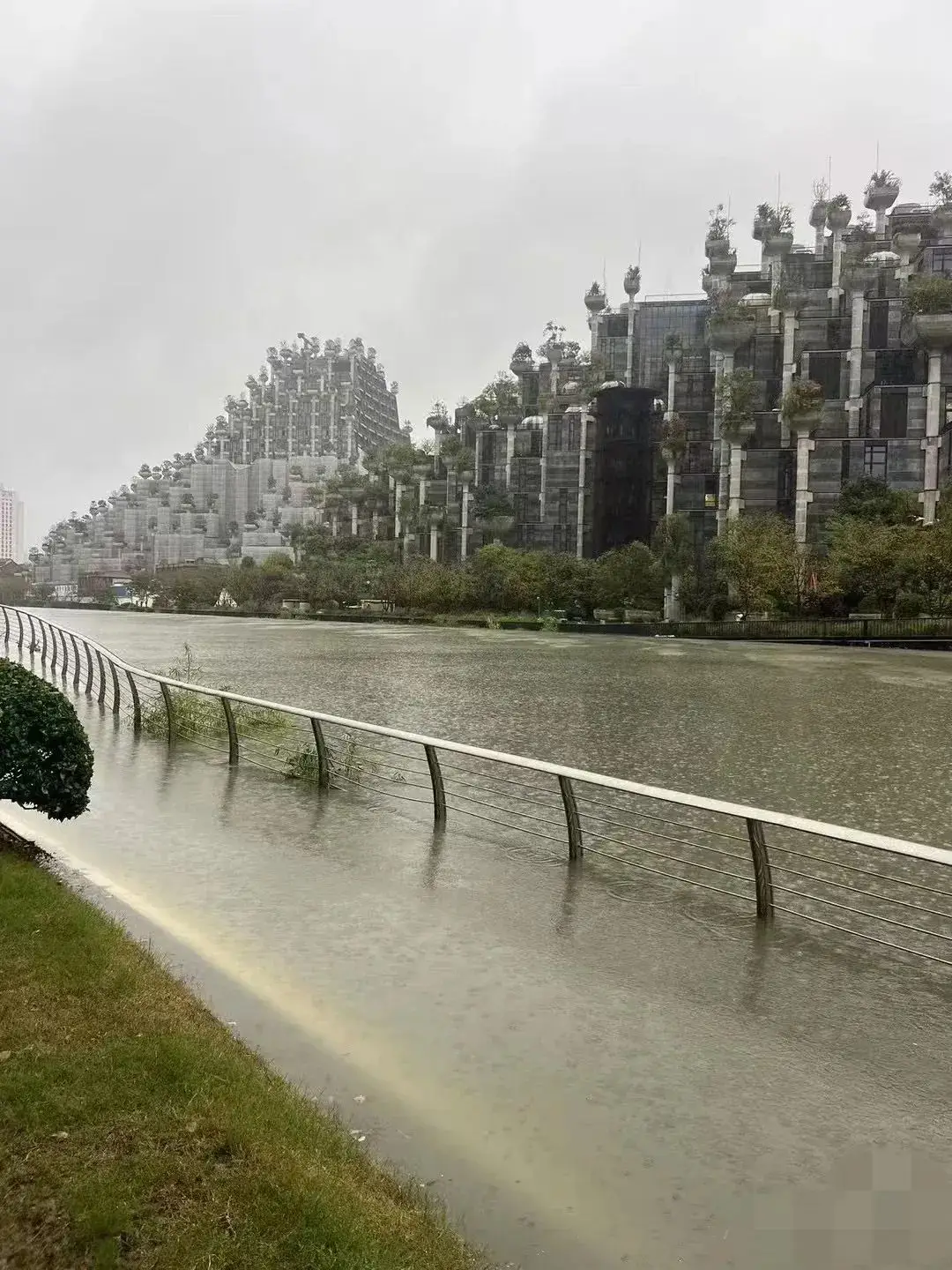 苏州河水位猛涨，竟快漫出河道！市民直呼：太吓人了  第3张