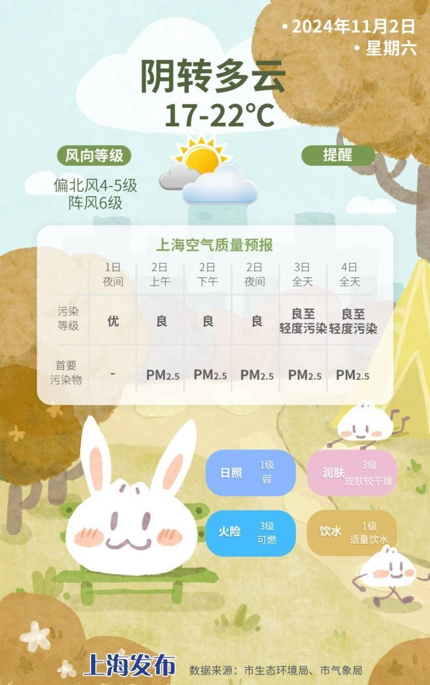 康妮来袭！上海今日遭遇狂风暴雨，气温骤降  第6张
