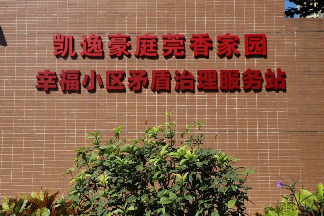 桥头镇创新举措：小区调委会和服务站揭牌，为社会治理注入新动力  第3张