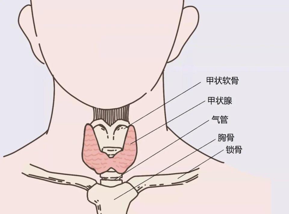 35 岁职场女性发现脖子肿块，没在意，结果竟……  第4张