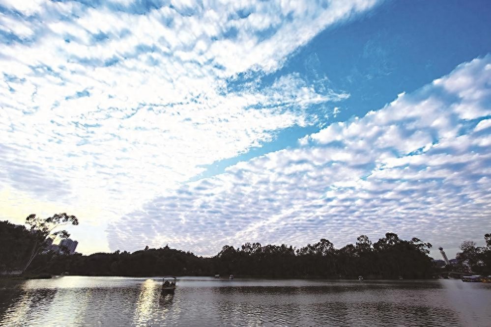 福州天空上演粉霞大戏,透光高积云美翻天,未来三天天气晴好 第1张 福州天空上演粉霞大戏,透光高积云美翻天,未来三天天气晴好 第1张