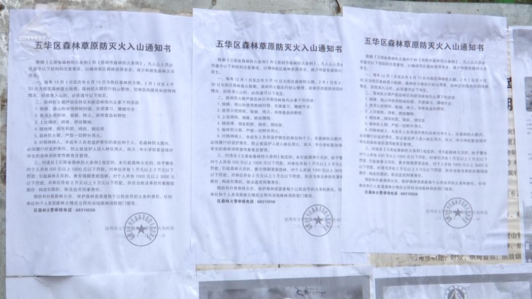 同年同月同日生，同年同月同日被抓：命运的巧合还是法律的必然？  第5张