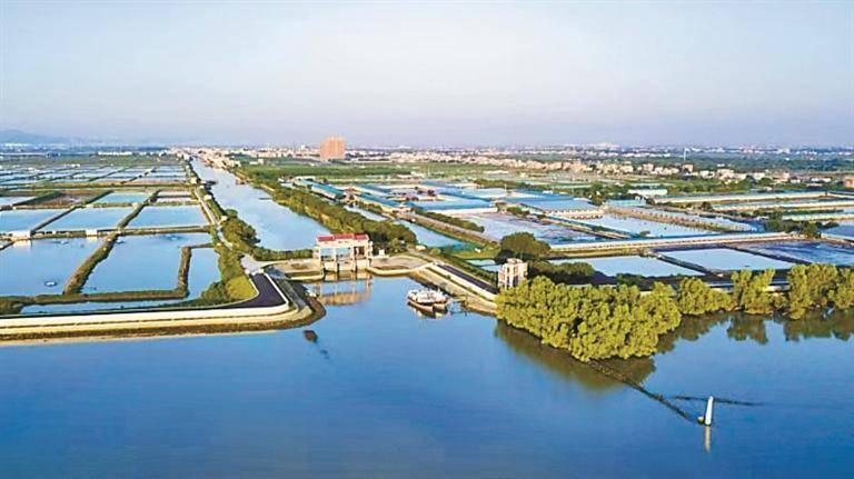 深圳与南沙牵手：万顷沙镇成深企新宠，未来产业延伸无限可能  第2张