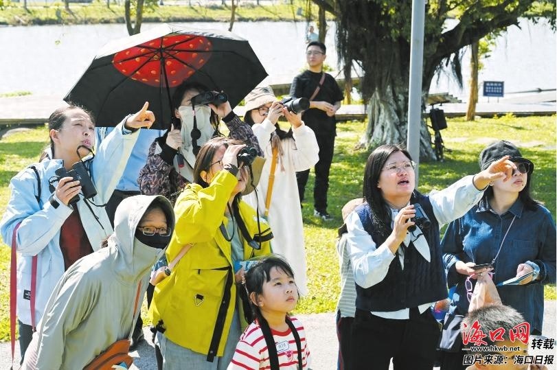 2024全民观鸟节海南站盛大开幕，190位观鸟爱好者齐聚美舍河，探索鸟类多样性  第1张