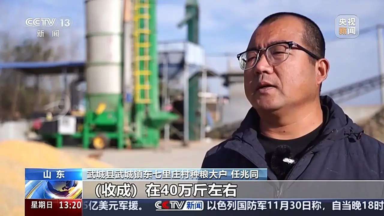 寒冬下的粮食收购：进度与温度并存，东北大豆集中上量，价格企稳回升  第6张