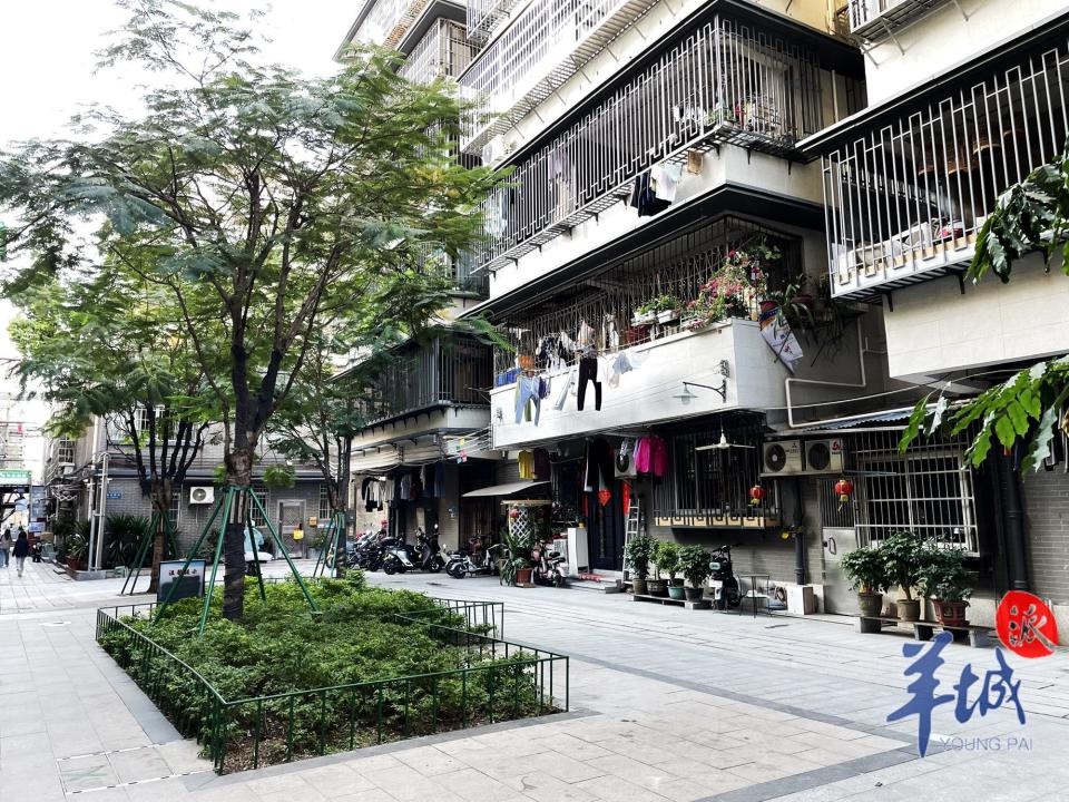 广州荔湾老城区焕新颜：4条历史文化街区春节前大变样，民生工程与旅游景观完美融合  第7张