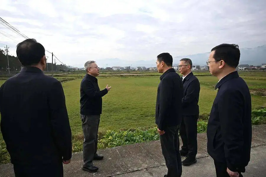 湖南省委书记暗访农田非粮化，县长紧急部署整改，耕地保护刻不容缓  第1张