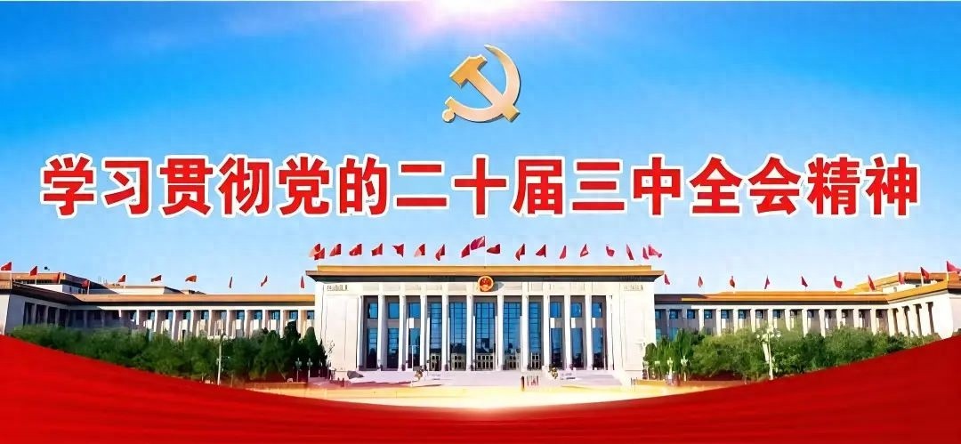 【独家揭秘】800亩油茶丰收背后的辛酸故事，老汉为何愁眉不展？  第1张