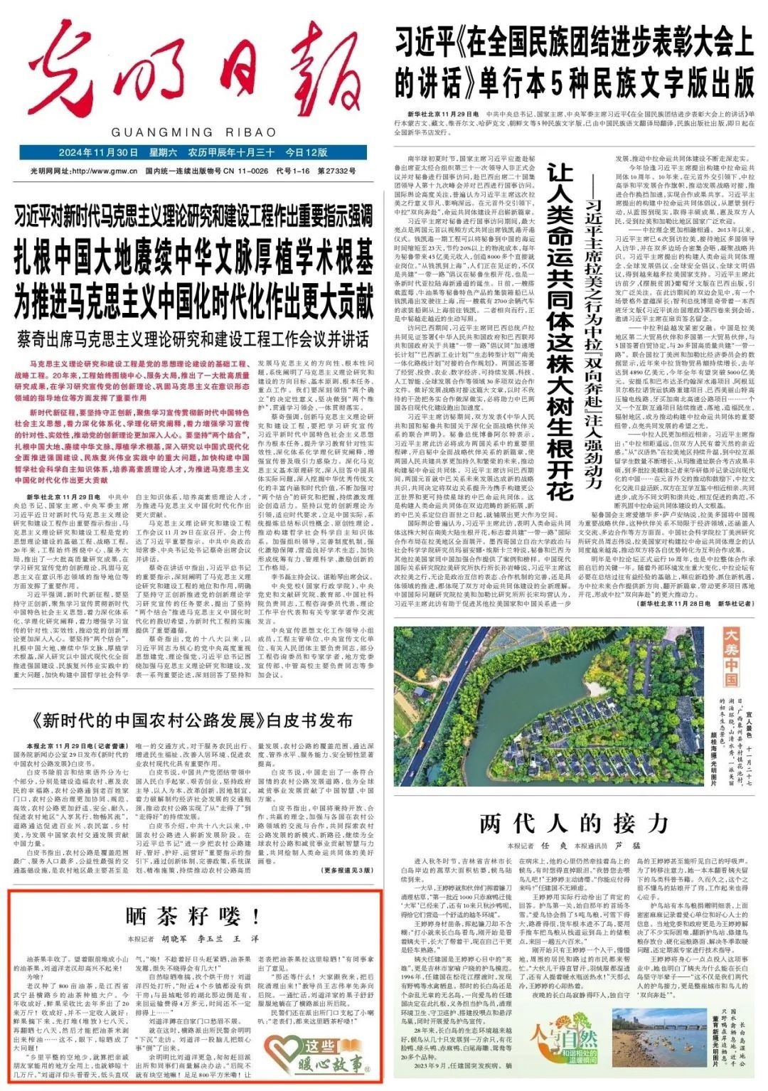 【独家揭秘】800亩油茶丰收背后的辛酸故事，老汉为何愁眉不展？  第2张