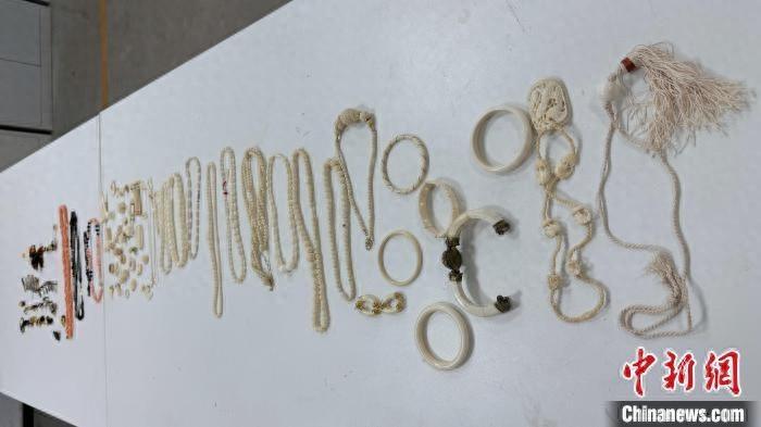 天津海关查获 80 件濒危物种制品，你知道这些制品有多珍贵吗？  第1张