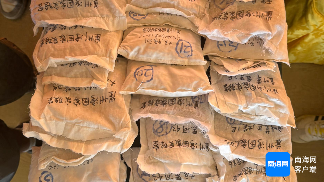 海南 50 公斤太空种子交付！未来育种或有大突破  第1张