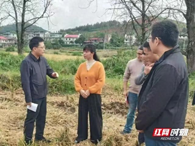 秸秆综合利用和有序管控：守护蓝天，助力高质量发展