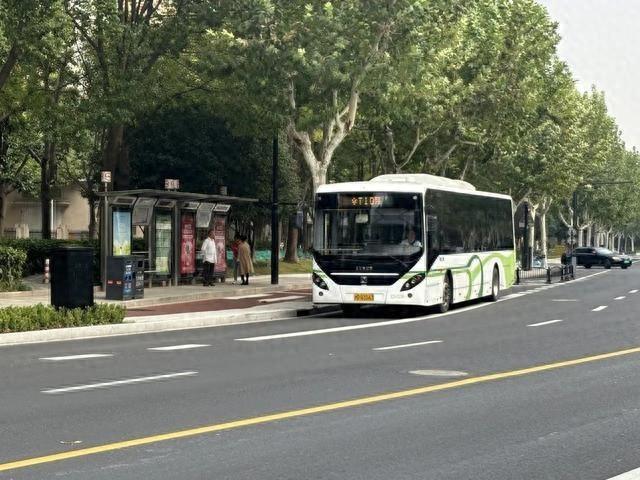 徐汇区百年老沪闵路换新颜，背后的故事令人惊叹  第1张