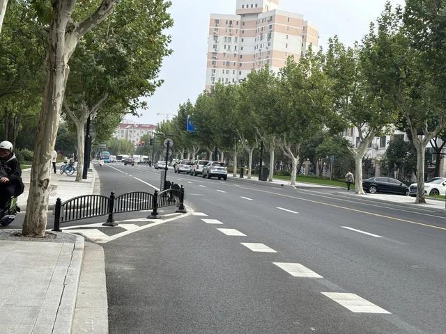 徐汇区百年老沪闵路换新颜，背后的故事令人惊叹  第3张