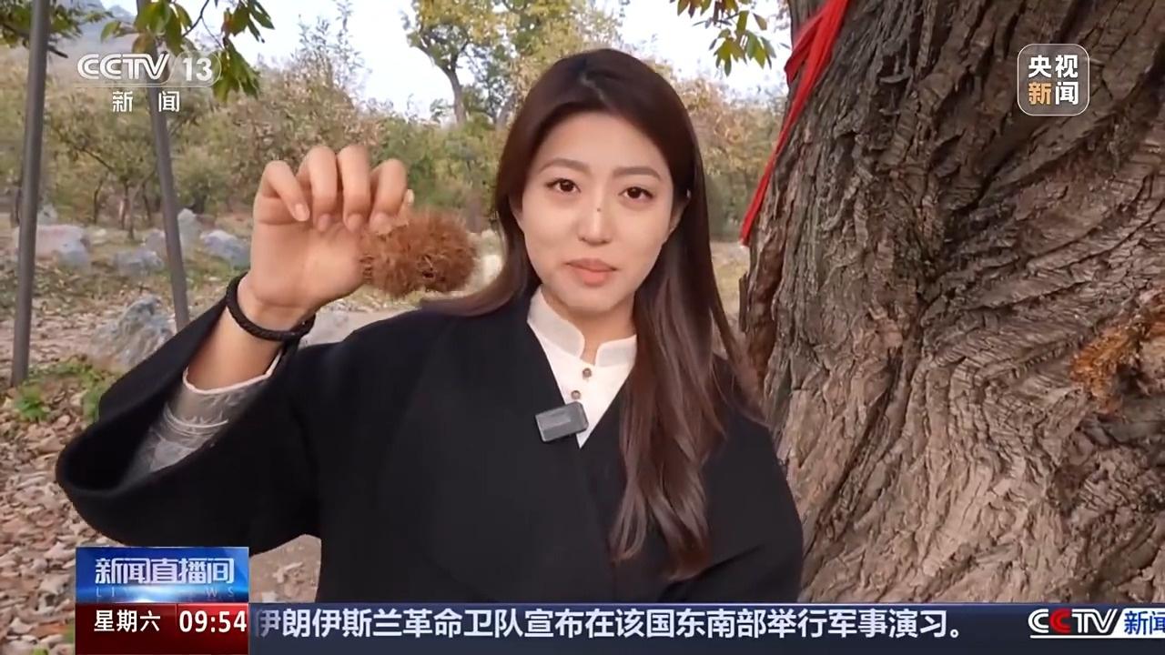 深秋寻味，北京街头的甜蜜味道：糖炒栗子、糖葫芦、烤红薯，一口下去满满的秋意  第2张