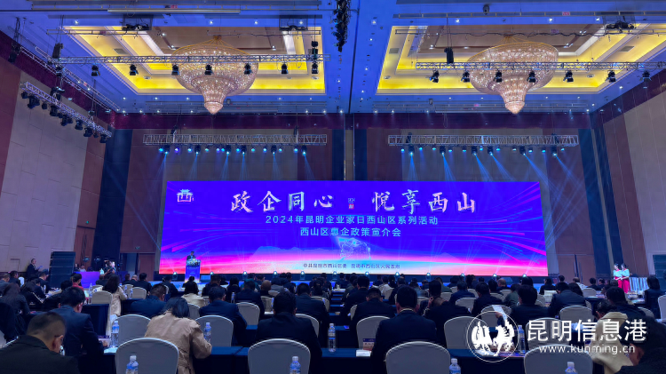 昆明西山区政企同心，共绘未来发展蓝图  第1张