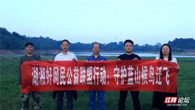 130 种鸟类！蓝山百鸟图见证生态环境持续改善